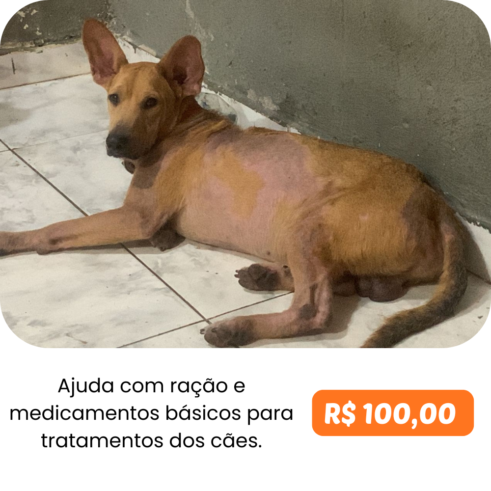 Alimento e medicação