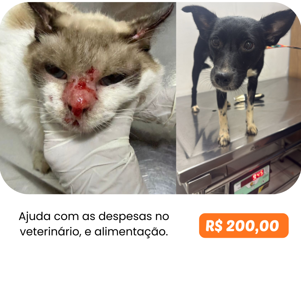 Atendimento Veterinário