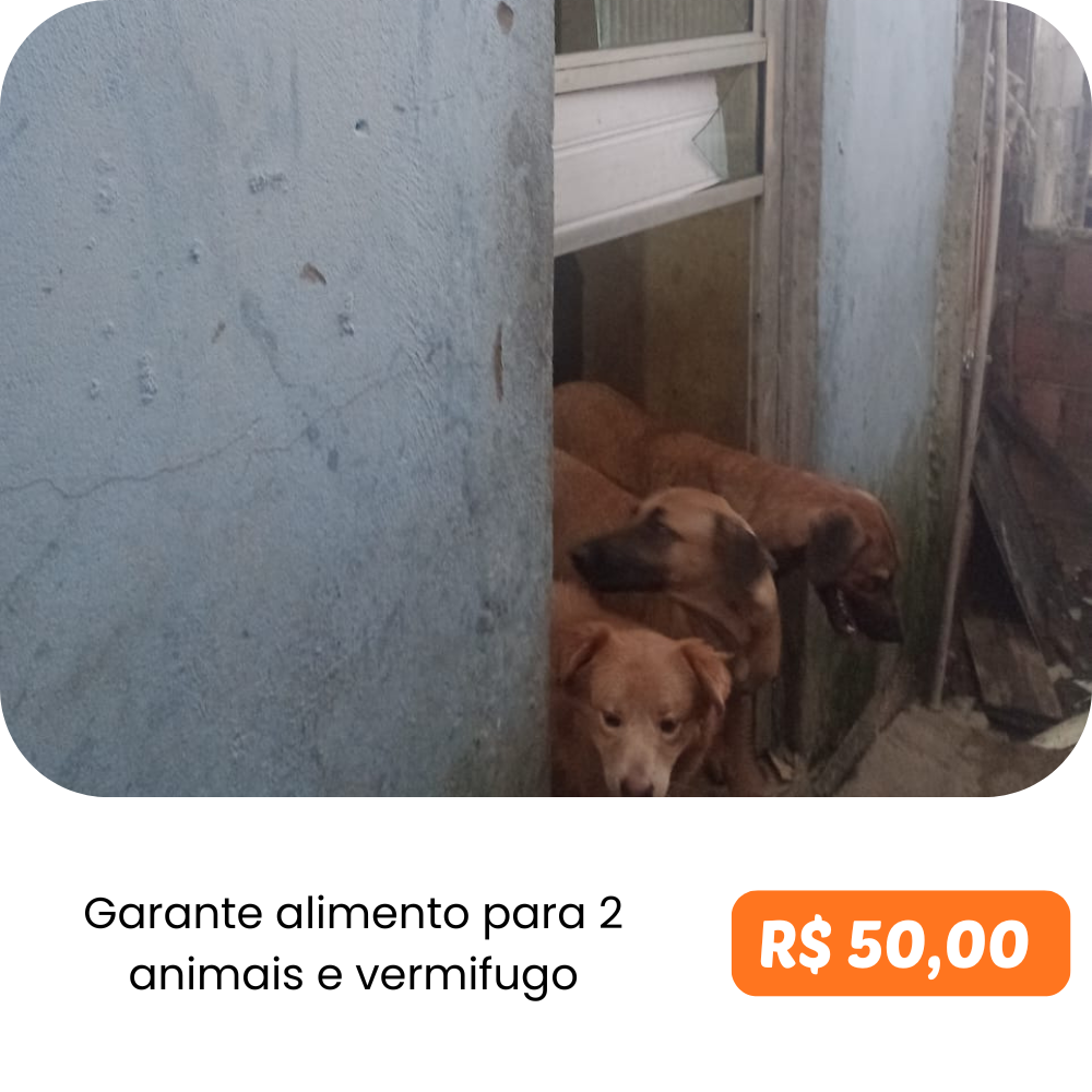 Ração e Vermifugos