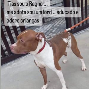 Ragna
