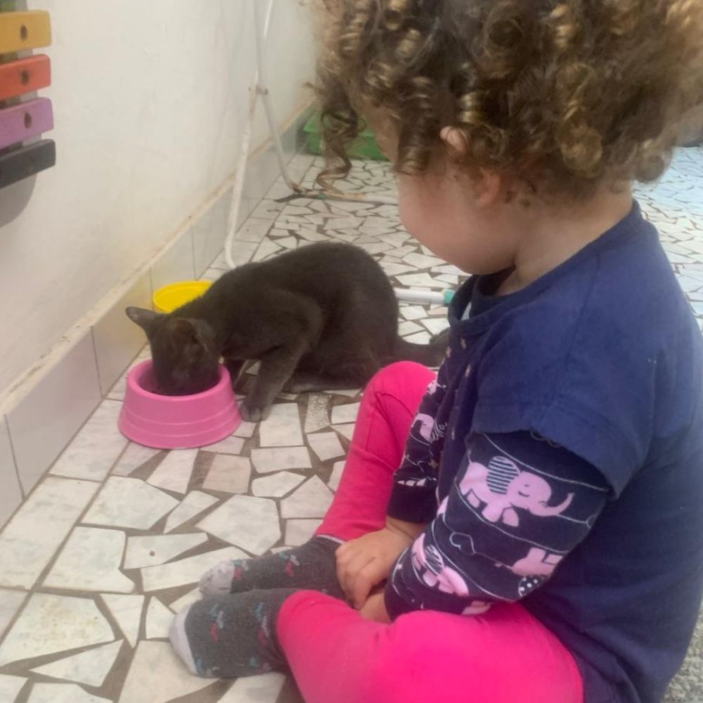 adotados e felizes (1)