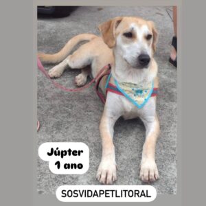 Jupter