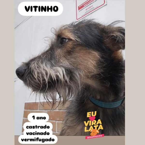 Vitinho