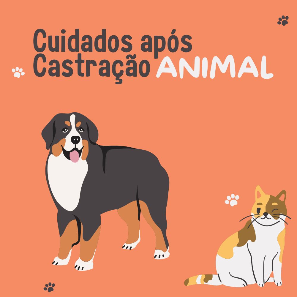 CUIDADOS