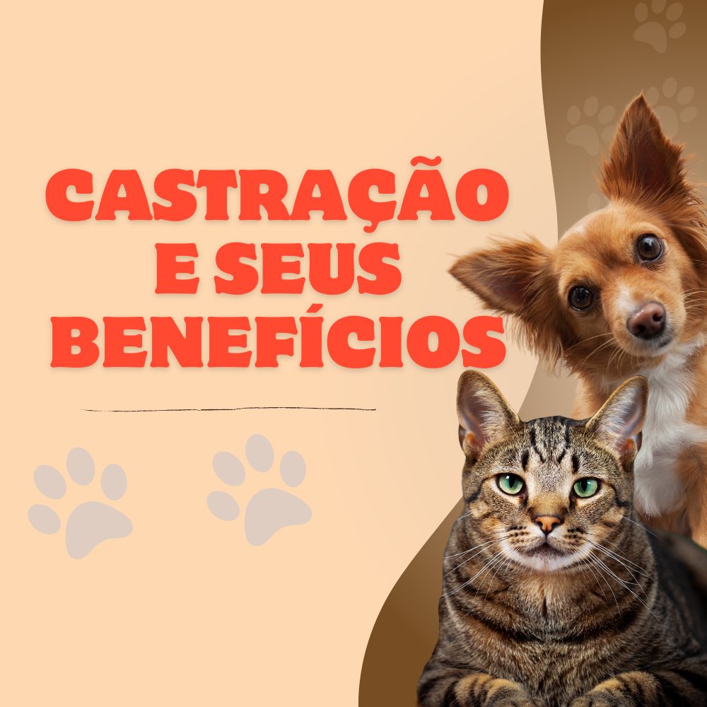 castração